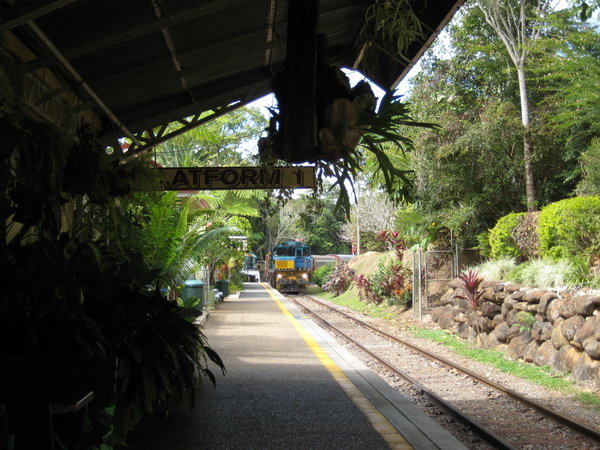 Train arriving at the famous Kuranda Railway Station.