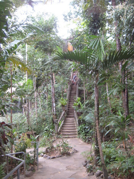 Original stairway - Paronella Park.