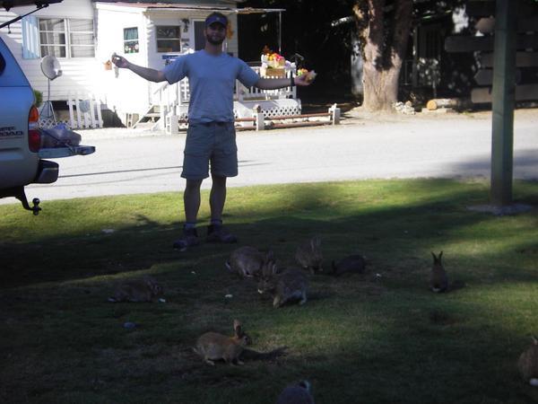 Bret and his bunnies