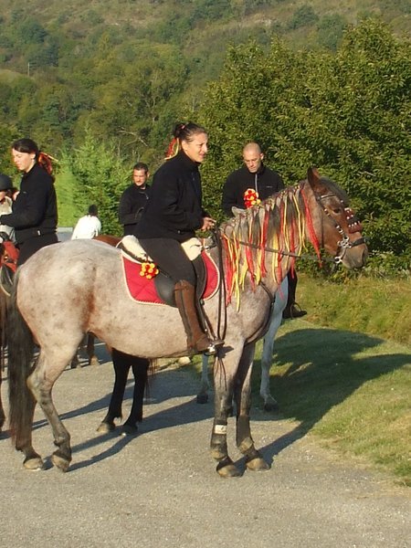 Horses and riders set off for the walk from Dun