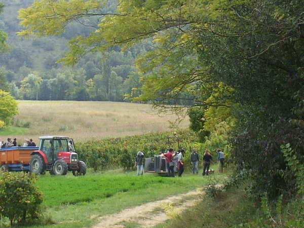 ...and here come the harvesters