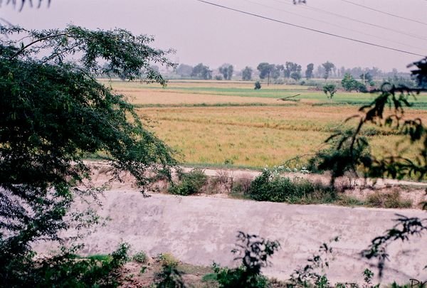 Village close to Pak in Attari at Wagah border !