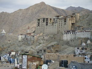Leh palace during day