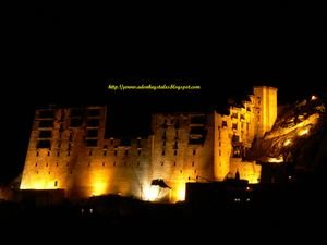 Leh Palace at night