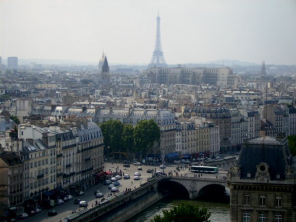Eiffel from top of Notre Dame