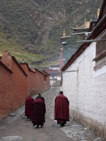 Monks at Labulang Lamasery
