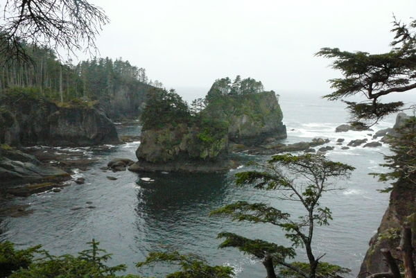 The View at Cape Flattery