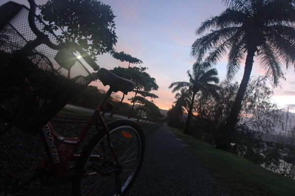 Bike ride in Port Douglas