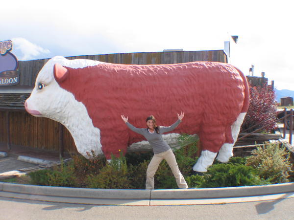 Dana and Bull in Colorado