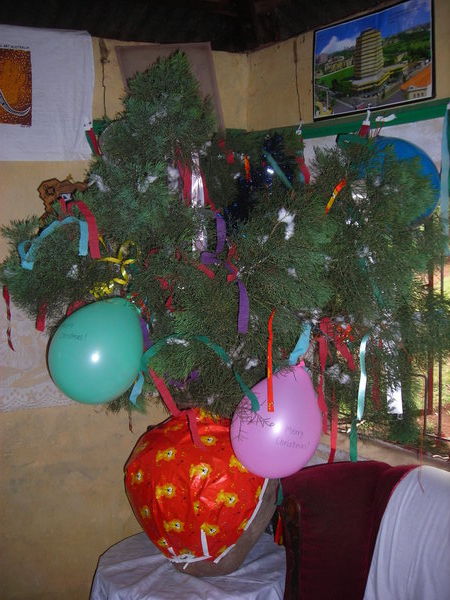 Kenya Christmas Tree