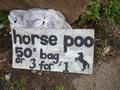 Horse Poo