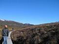 the beginning to our hike on cradle mountain
