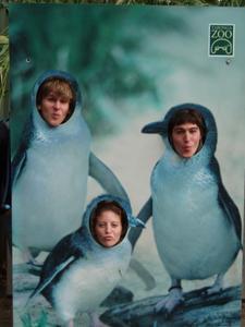 we are penguins