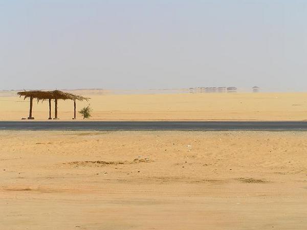 The barren desert