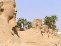 The avenue of Sphinxes
