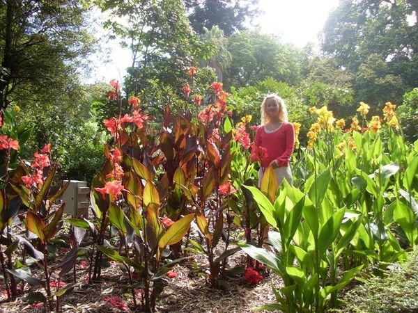 Julie blandt blomsterne i den botaniske have i Melbourne