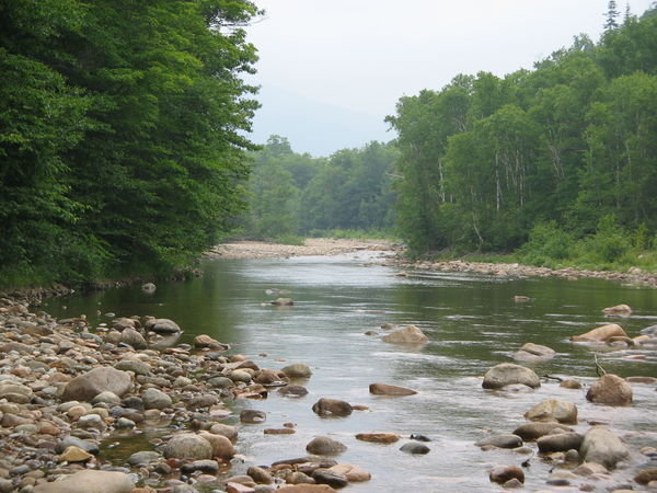 Saco River 