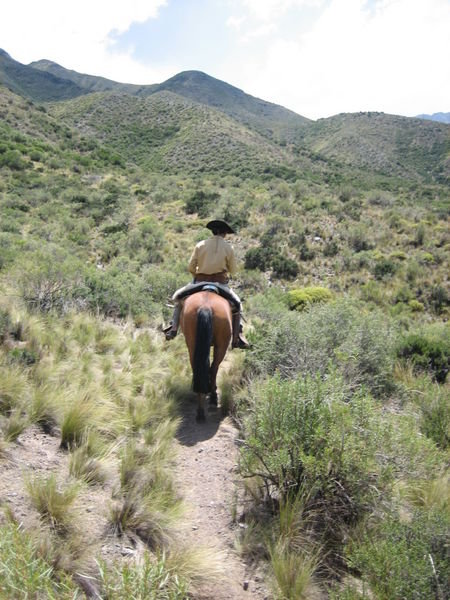 Horse riding - Mendoza