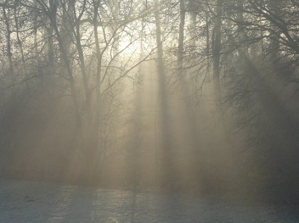 Light through the mist