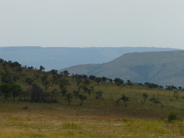 View across the cradle of humankind