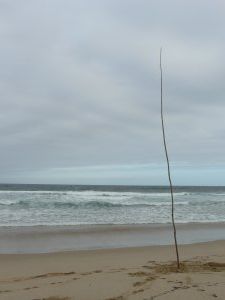 ... and we called it 'Big Stick in the Sand'