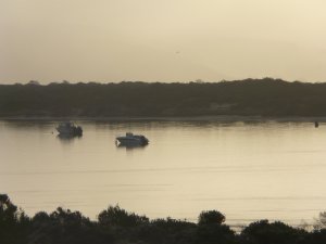boats at dawn