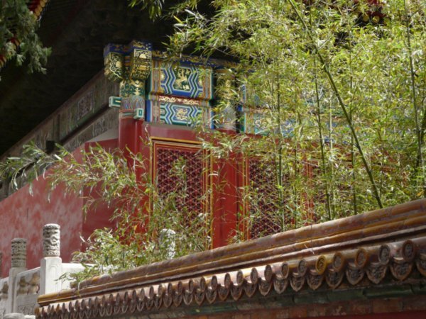 Red Walls and Bamboo Forests