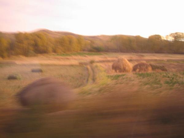 view from the train