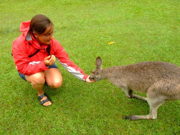 Bea feeding a kangaroo
