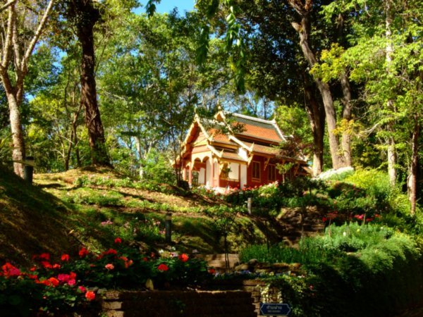 Doi Suthep garden, North of Chiang Mai