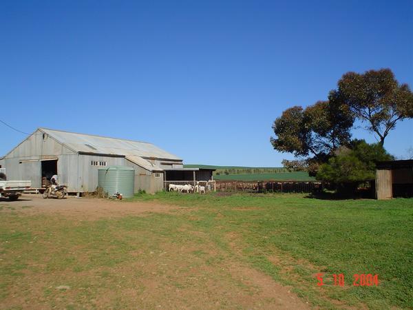 the shearing shed