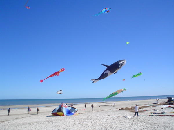 large inflatable kites