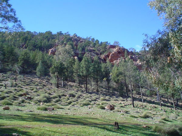 A hill at Warren