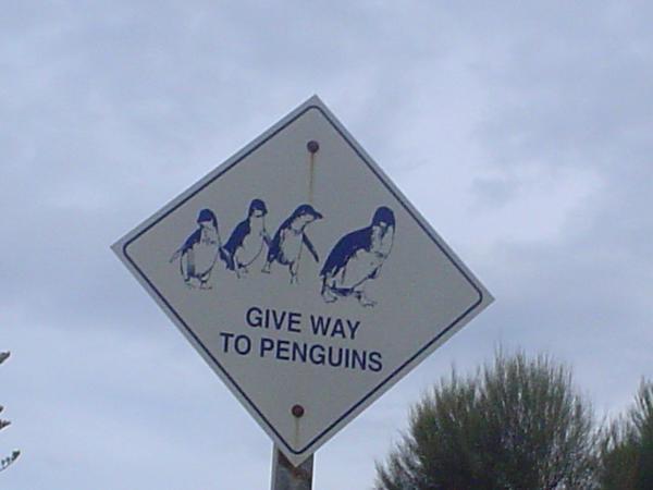 Penguin crossing