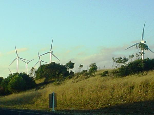 Scenic drive past windmills