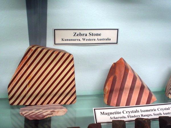 Zebra stone