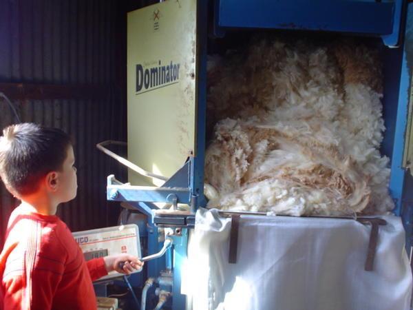 Dan checking out the wool press