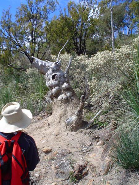 Termite tree stump