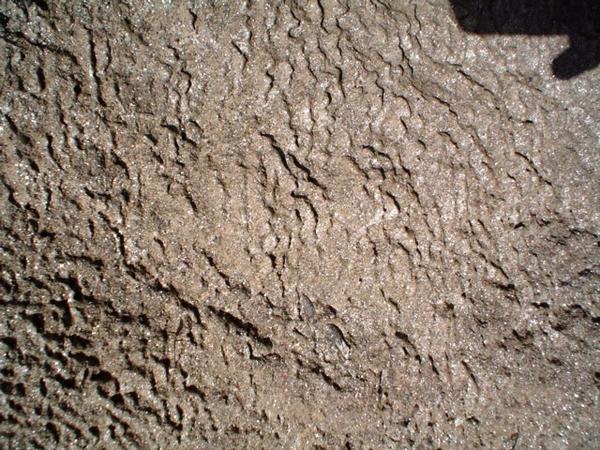Detail of termite work
