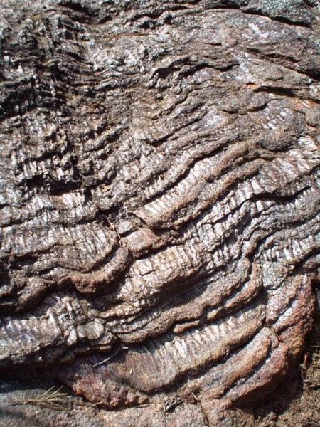 Detail of rock erosion - mica