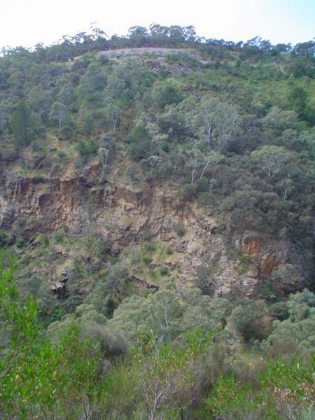 View across the gully