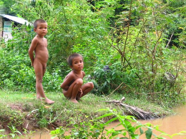 Jungle Kids
