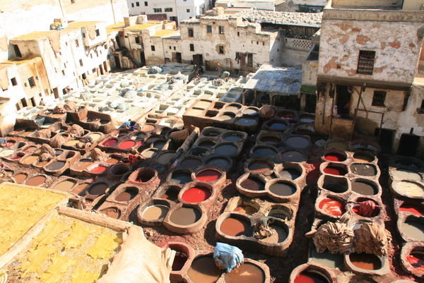 The Fes tanneries