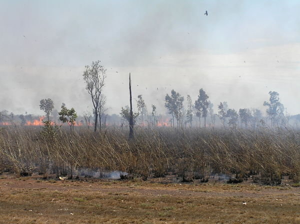 Darwin Bush Fire.