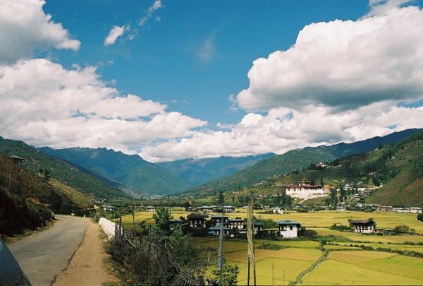 Fields ripe for harvest in the Paro valley