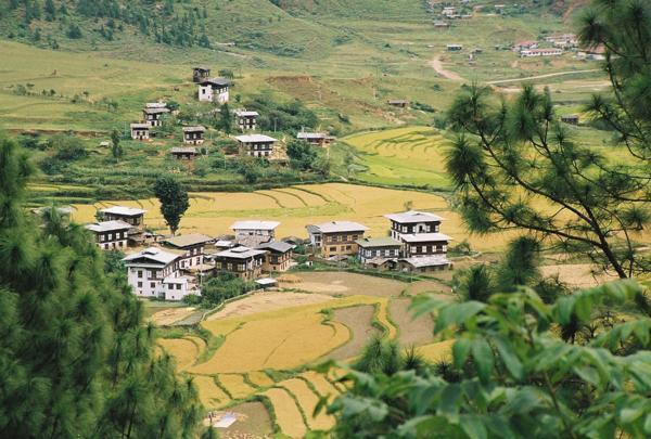 farmhouses deep in the Punak Chhu valley
