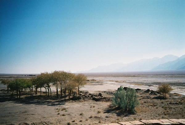 Desert oasis