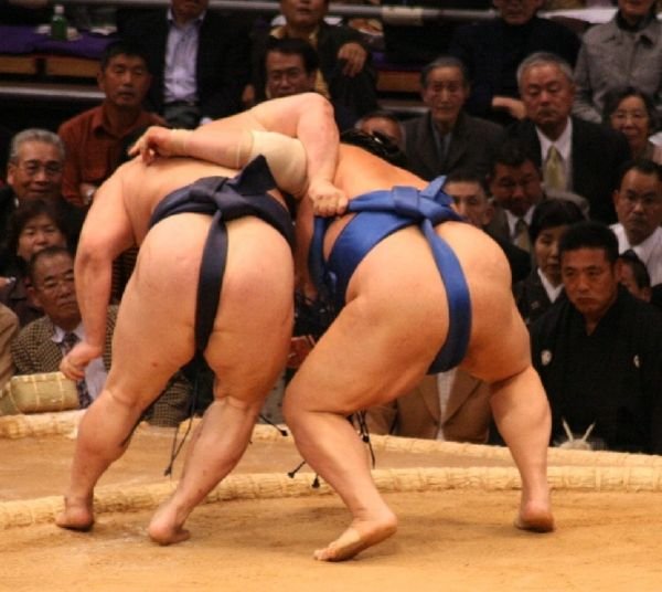 Sumo - the other white meat