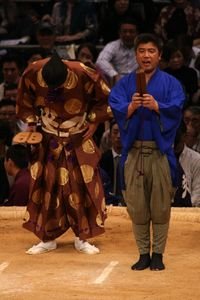 Introducing Hakuho vs. Kotomitsuki