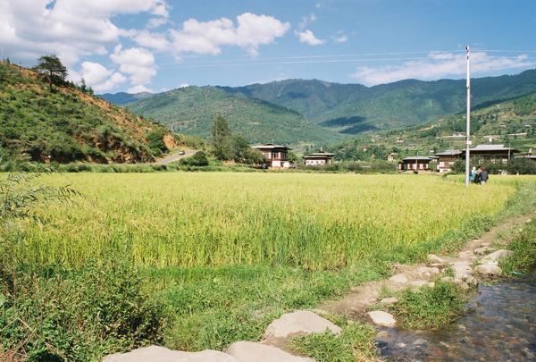 Farmland in the valley